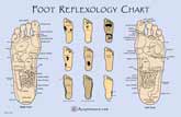 Foot Reflexology Chart