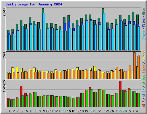 Daily usage for January 2024