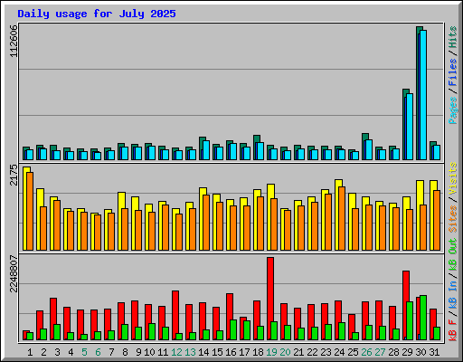 Daily usage for July 2025