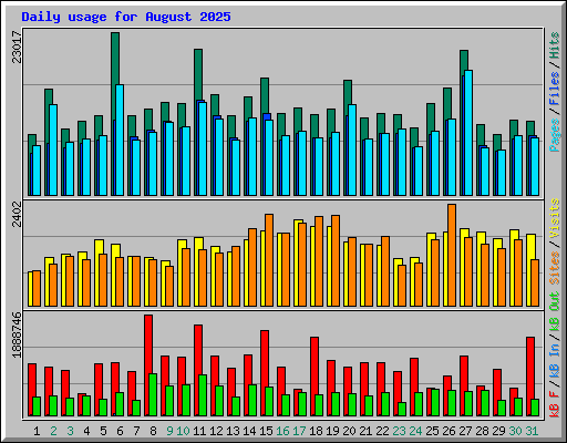 Daily usage for August 2025