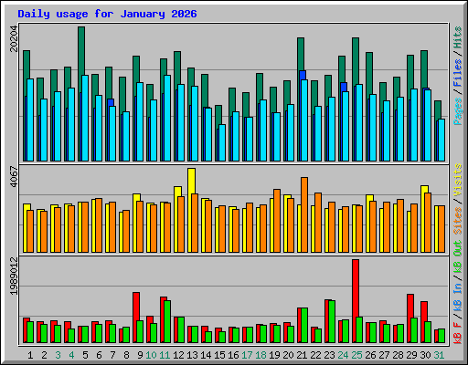 Daily usage for January 2026