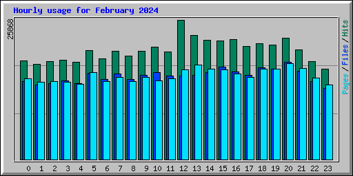 Hourly usage for February 2024