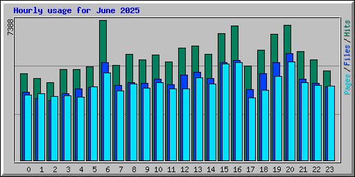 Hourly usage for June 2025