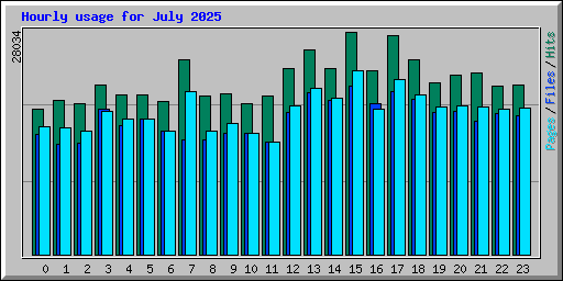 Hourly usage for July 2025