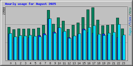 Hourly usage for August 2025
