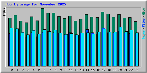 Hourly usage for November 2025