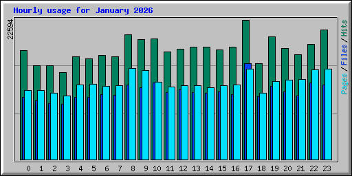 Hourly usage for January 2026