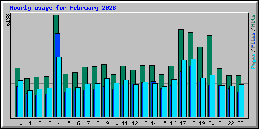 Hourly usage for February 2026