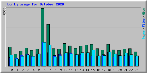Hourly usage for October 2026